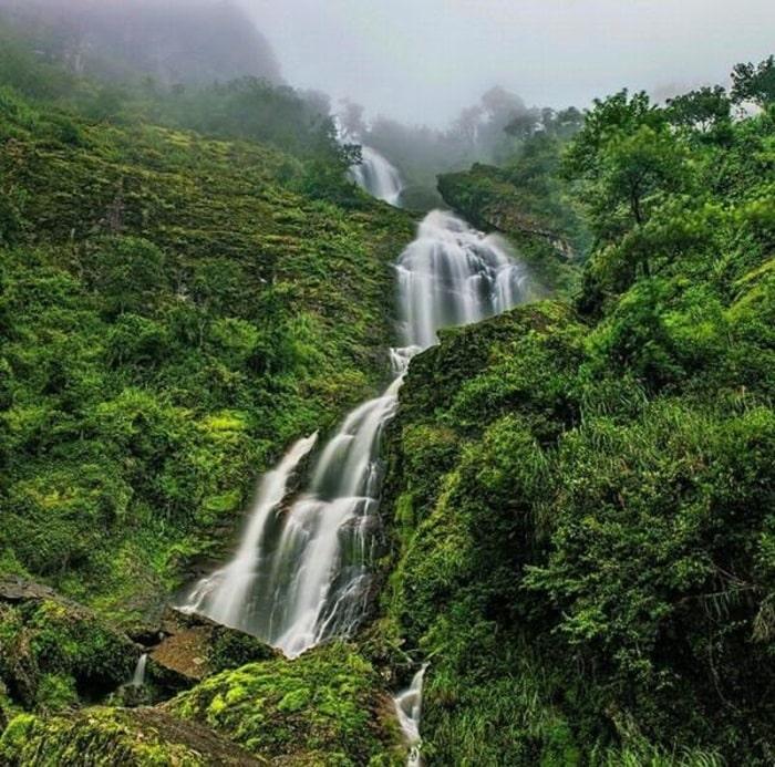 xe ghép tam đảo